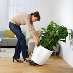 Plant pot Lechuza Ø 50 cm Plastic