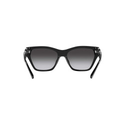 Ladies' Sunglasses Emporio Armani EA 4203U