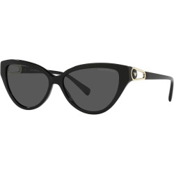 Ladies' Sunglasses Emporio Armani EA 4192