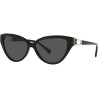 Ladies' Sunglasses Emporio Armani EA 4192