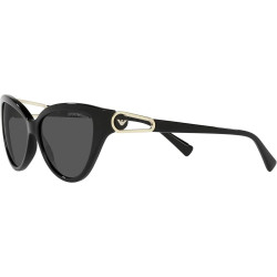 Ladies' Sunglasses Emporio Armani EA 4192