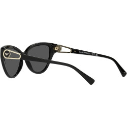 Ladies' Sunglasses Emporio Armani EA 4192