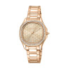 Ladies' Watch Just Cavalli JC1L263M0075