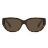 Ladies' Sunglasses Ralph Lauren RL 8193