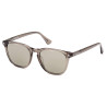 Ladies' Sunglasses Web Eyewear WE0331