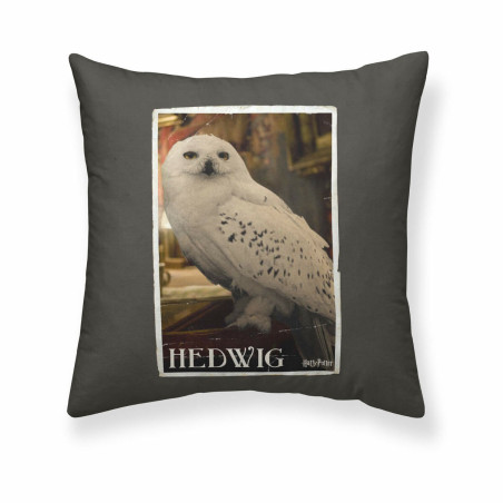 Cushion cover Harry Potter Hedwig 50 x 50 cm