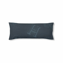 Pillowcase Harry Potter Dormiens Draco Blue Navy Blue 45 x 110 cm