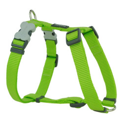 Dog Harness Red Dingo Smooth 37-61 cm Lime