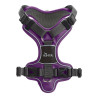 Dog Harness Hunter Divo Purple S 45-56 cm