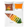 Nordic cover Leaf Pantone