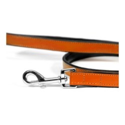 Dog Lead Gloria 1.8 x 100 cm Orange