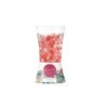 Air Freshener Red fruits 150 g Gel (12 Units)