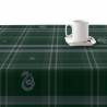 Stain-proof resined tablecloth Harry Potter Slytherin 200 x 140 cm