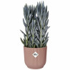 Plant pot Elho Pink Plastic Circular Modern Ø 25 cm