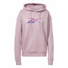 Women’s Hoodie Reebok  Vector Graphic  Multicolour