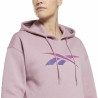 Women’s Hoodie Reebok  Vector Graphic  Multicolour