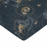 Fitted sheet Harry Potter Blue Golden 105 x 200 cm