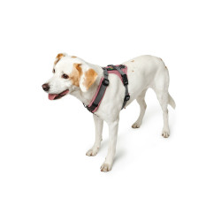 Dog Harness Hunter Maldon Up Pink 57-98 cm