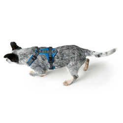 Dog Harness Hunter Maldon Up Blue 57-98 cm