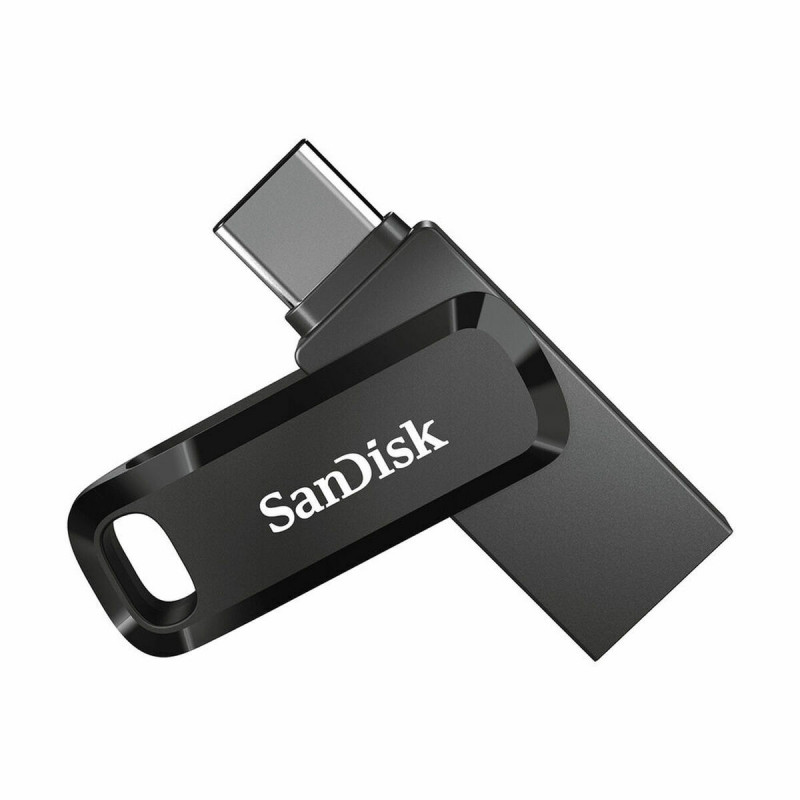 USB stick SanDisk SDDDC3-256G-G46 Black 256 GB