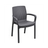 Garden chair IPAE Progarden Regina Anthracite (61 x 54 x 82 cm)