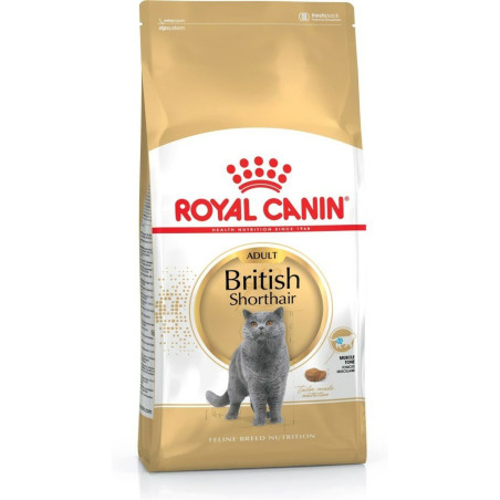 Cat food Royal Canin British Shorthair Adult Chicken Rice Birds 2 Kg