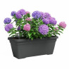 Plant pot Artevasi 77,9 x 24 x 22 cm Anthracite