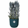 Plant pot Elho   Ø 25 cm Circular Dark blue Plastic