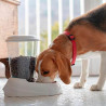 Pet feeding dish Ferplast 3 L 29,2 x 20,2 x 28,8 cm