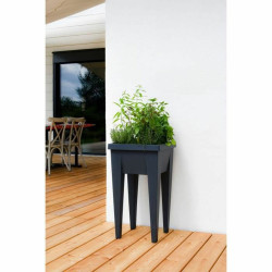 Planter EDA   Vegetables Seed tray 38,5 x 38,5 x 68 cm