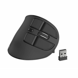 Wireless Mouse Natec Euphonie 2400 DPI Black