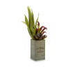 Decorative Plant Flowers Garden Brown Green 10 x 50 x 10 cm (4 Units)