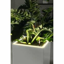 Plant pot Lechuza 76 x 40 x 10 cm Black (1 Unit)