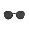 Ladies' Sunglasses Ana Hickmann Golden