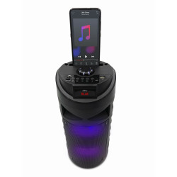 Portable Bluetooth Speakers Media Tech MT3165 Black