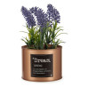 Decorative Plant Lavendar Can Purple Metal Copper Green Plastic 10 x 18 x 10 cm (6 Units)