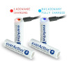 Rechargeable Battery EverActive FWEV1865032MBOX 3200 mAh 3,7 V 18650