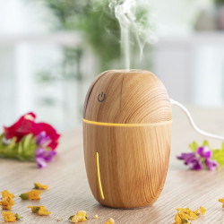 Mini Humidifier Scent Diffuser Honey Pine InnovaGoods