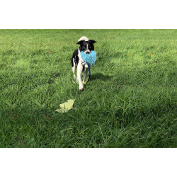 Training toy Coachi TUGGI HIDE Blue