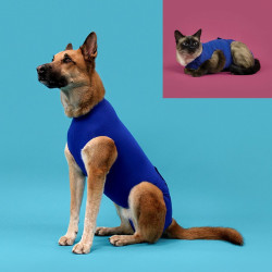 Recovery Vest for Pets KVP Blue 35-43 cm