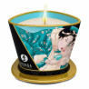 Massage Candle Shunga Island's Flower (170 ml)