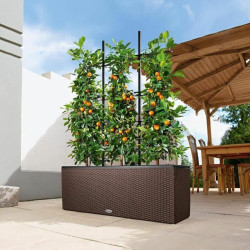 Plant pot Lechuza 100 x 32 x 34 cm Plastic Rectangular