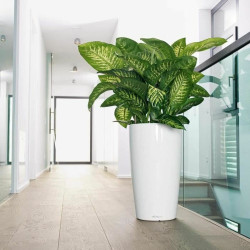 Self-watering flowerpot Lechuza Brown Ø 40 x 75 cm Plastic