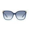 Ladies' Sunglasses Ralph Lauren RL 8209