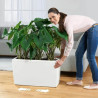 Plant pot Lechuza 75 x 30 x 43 cm Plastic Rectangular