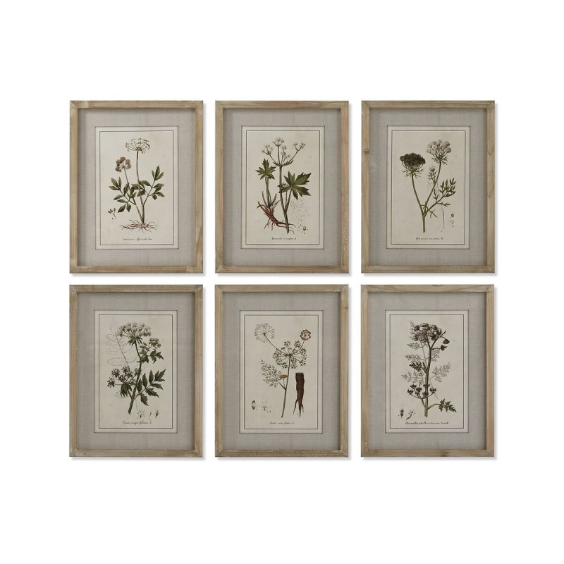 Painting Home ESPRIT Shabby Chic Botanical plants 30 x 2 x 40 cm (6 Units)