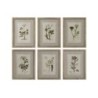 Painting Home ESPRIT Shabby Chic Botanical plants 30 x 2 x 40 cm (6 Units)