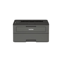 Monochrome Laser Printer Brother HL-L2375DW