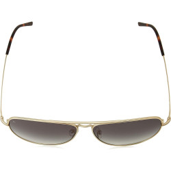 Men's Sunglasses Rodenstock  R1425