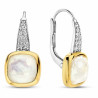 Ladies' Earrings Ti Sento 7969MW